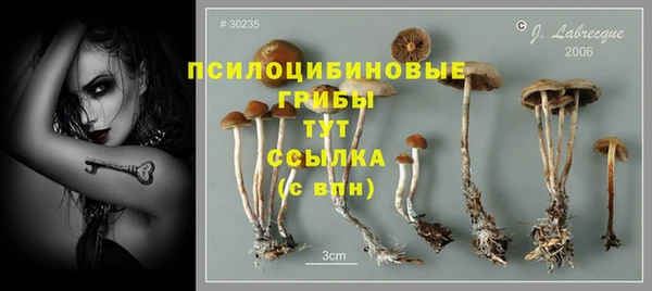a pvp Армянск
