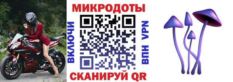 Псилоцибиновые грибы Psilocybine cubensis  Арзамас 